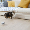 Let technology take care of your pet’s daily life