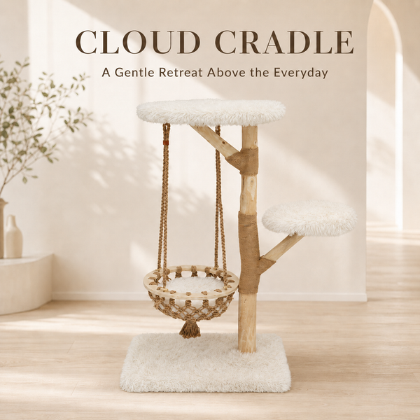 Cloud Collection | Cloud Cradle