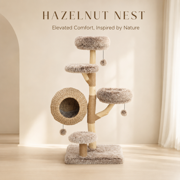 Woodland Collection | Hazelnut Nest