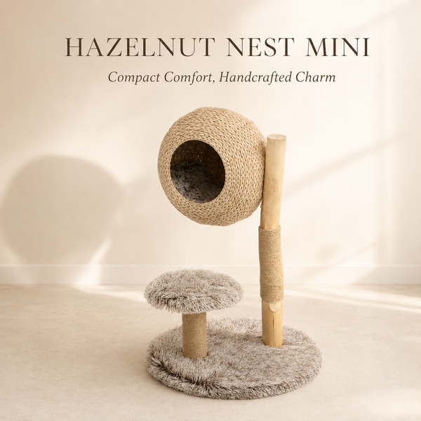 Woodland Collection | Hazelnut Nest Mini