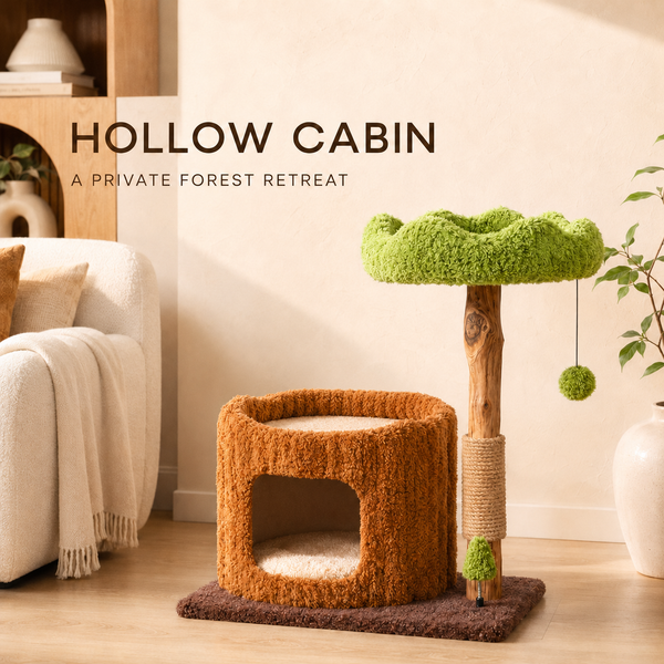 Woodland Collection | Hollow Cabin
