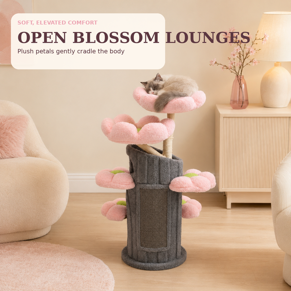 Bloom Collection | Sakura Tales
