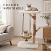 Cloud Collection | Cloud Cradle