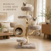 Woodland Collection | Hazelnut Nest