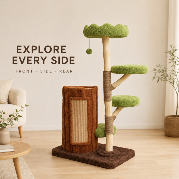 Woodland Collection | Treehouse Haven