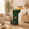 Bloom Collection | Blooming Cactus