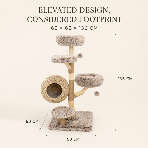 Woodland Collection | Hazelnut Nest