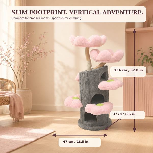 Bloom Collection | Sakura Tales
