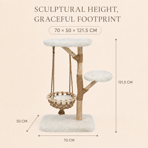 Cloud Collection | Cloud Cradle
