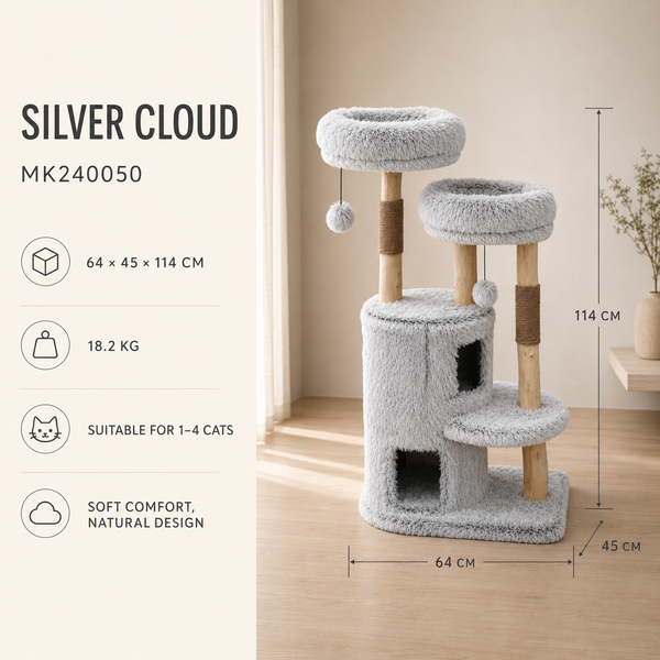 Cloud Collection | Silver Cloud