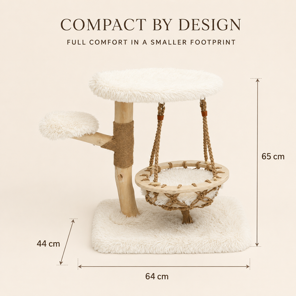 Cloud Collection | Cloud Cradle Mini