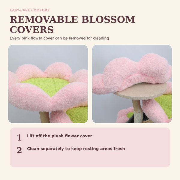 Bloom Collection | Sakura Tales