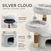 Cloud Collection | Silver Cloud