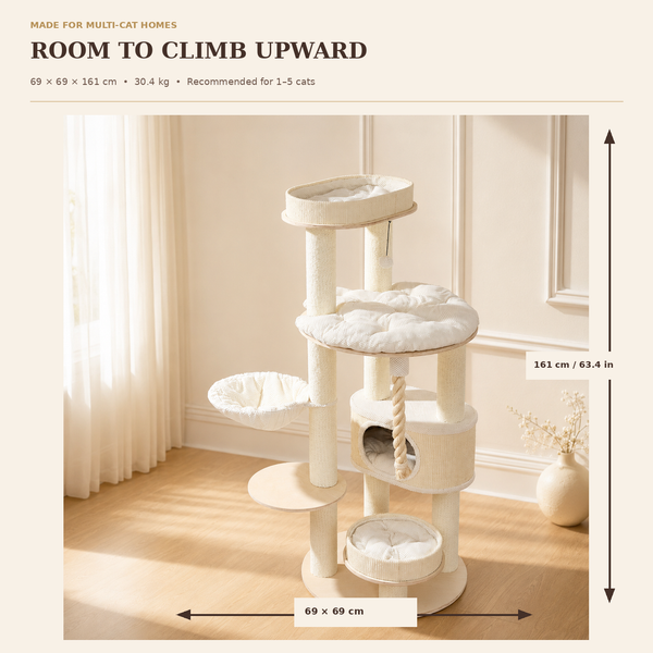 Cloud Collection | Cloud Castle