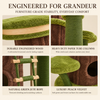 Woodland Collection | Adventure Grove