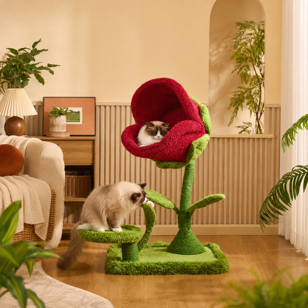 Bloom Collection | Monster Bloom