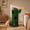 Bloom Collection | Blooming Cactus