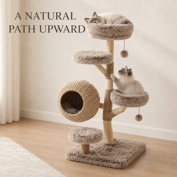 Woodland Collection | Hazelnut Nest