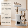 Cloud Collection | Silver Cloud