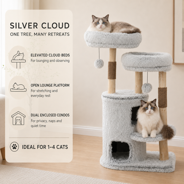 Cloud Collection | Silver Cloud
