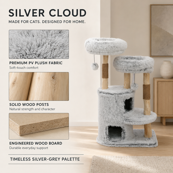 Cloud Collection | Silver Cloud
