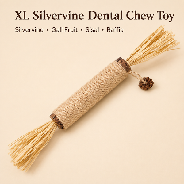 XL Silvervine Dental Chew Stick