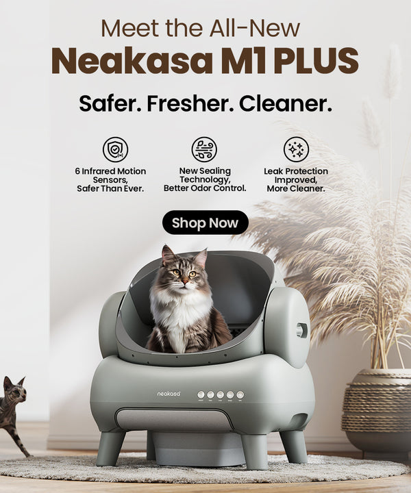 Neakasa M1 Plus + (Upgraded) Open-Top Self-Cleaning Cat Litter Box, Automatic Cat Litter Box with APP Control, Odor-Free Waste Disposal Includes Trash Bags