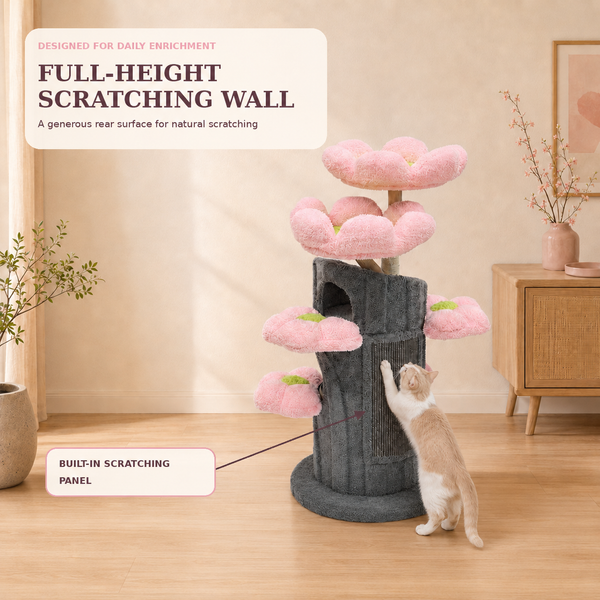 Bloom Collection | Sakura Tales