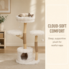 Cloud Collection | Snow Hollow