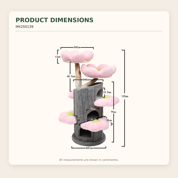 Bloom Collection | Sakura Tales