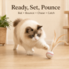 BASEBALL FEATHER BOUNCE CAT TOY