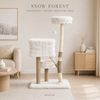 Cloud Collection | Snow Forest