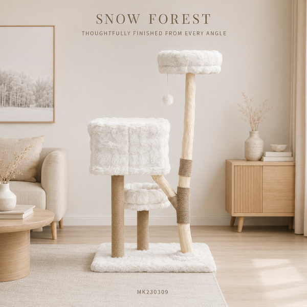 Cloud Collection | Snow Forest