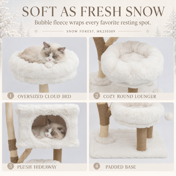 Cloud Collection | Snow Forest