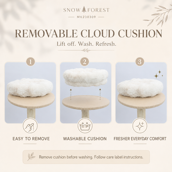 Cloud Collection | Snow Forest