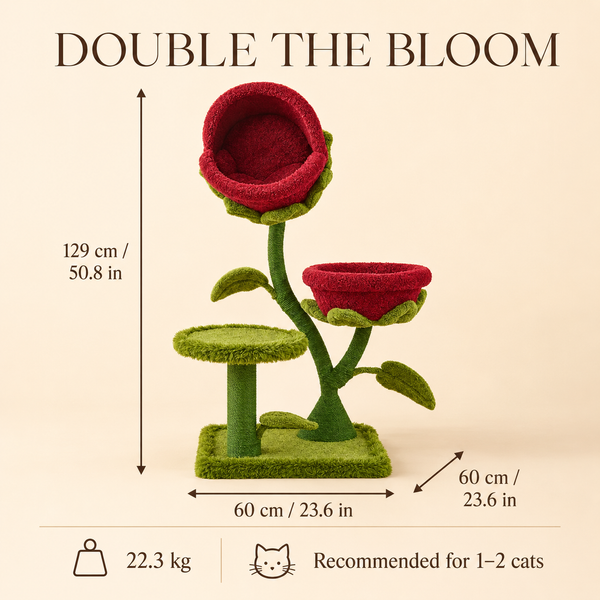 Bloom Collection | Dual Monster Bloom