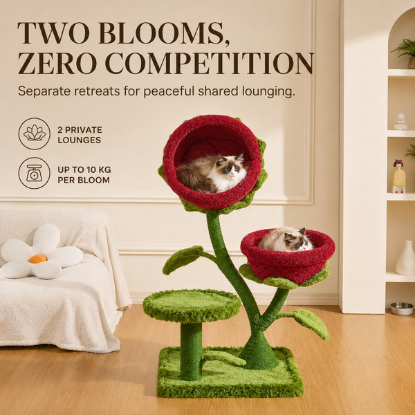 Bloom Collection | Dual Monster Bloom