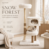 Cloud Collection | Snow Forest