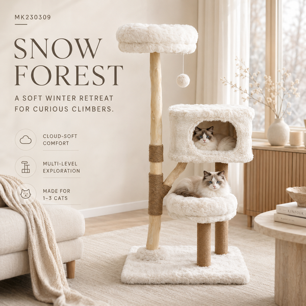 Cloud Collection | Snow Forest
