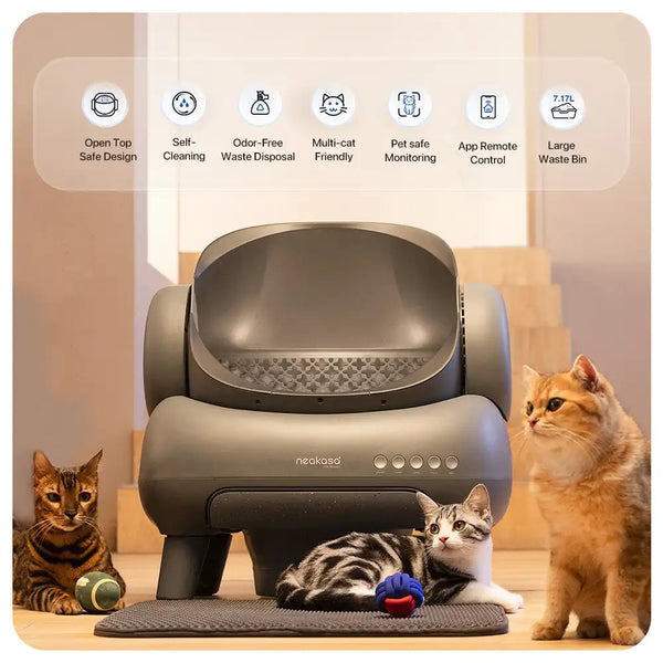 Neakasa M1 Plus + (Upgraded) Open-Top Self-Cleaning Cat Litter Box, Automatic Cat Litter Box with APP Control, Odor-Free Waste Disposal Includes Trash Bags