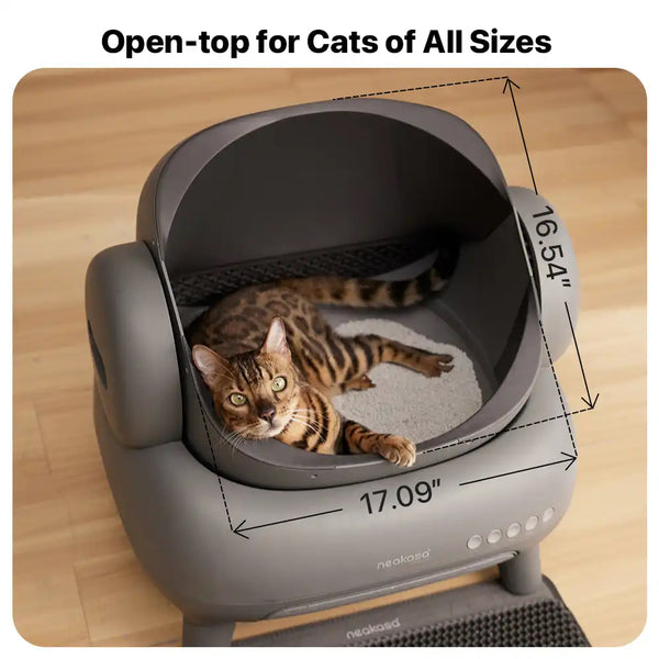 Neakasa M1 Plus + (Upgraded) Open-Top Self-Cleaning Cat Litter Box, Automatic Cat Litter Box with APP Control, Odor-Free Waste Disposal Includes Trash Bags